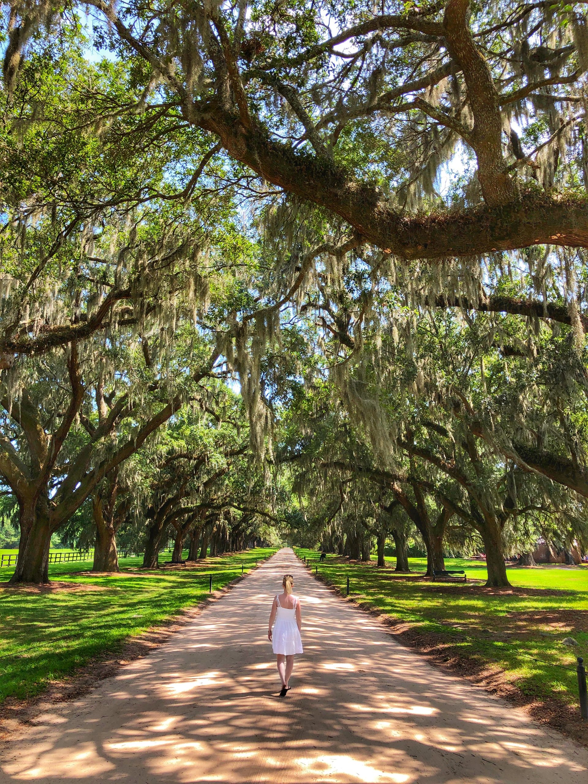 Charleston South Carolina park, representing statewide EEG tech job opportunities across hospitals and clinics