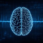 EEG Artifact Identification: What’s Real vs. Error?